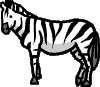 zebra-vt.gif