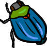beetle-vt.gif